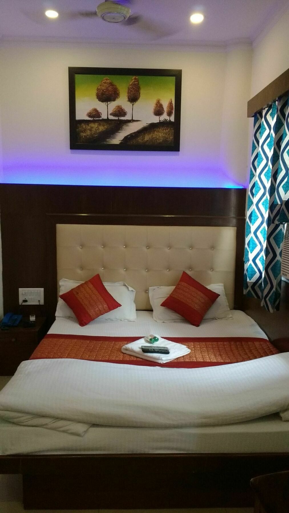 Hotel Vishal Új-Delhi Kültér fotó